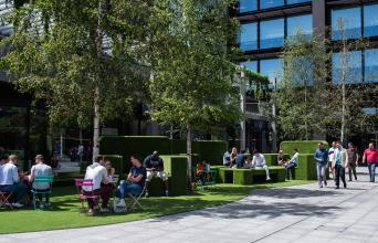 Principal Place